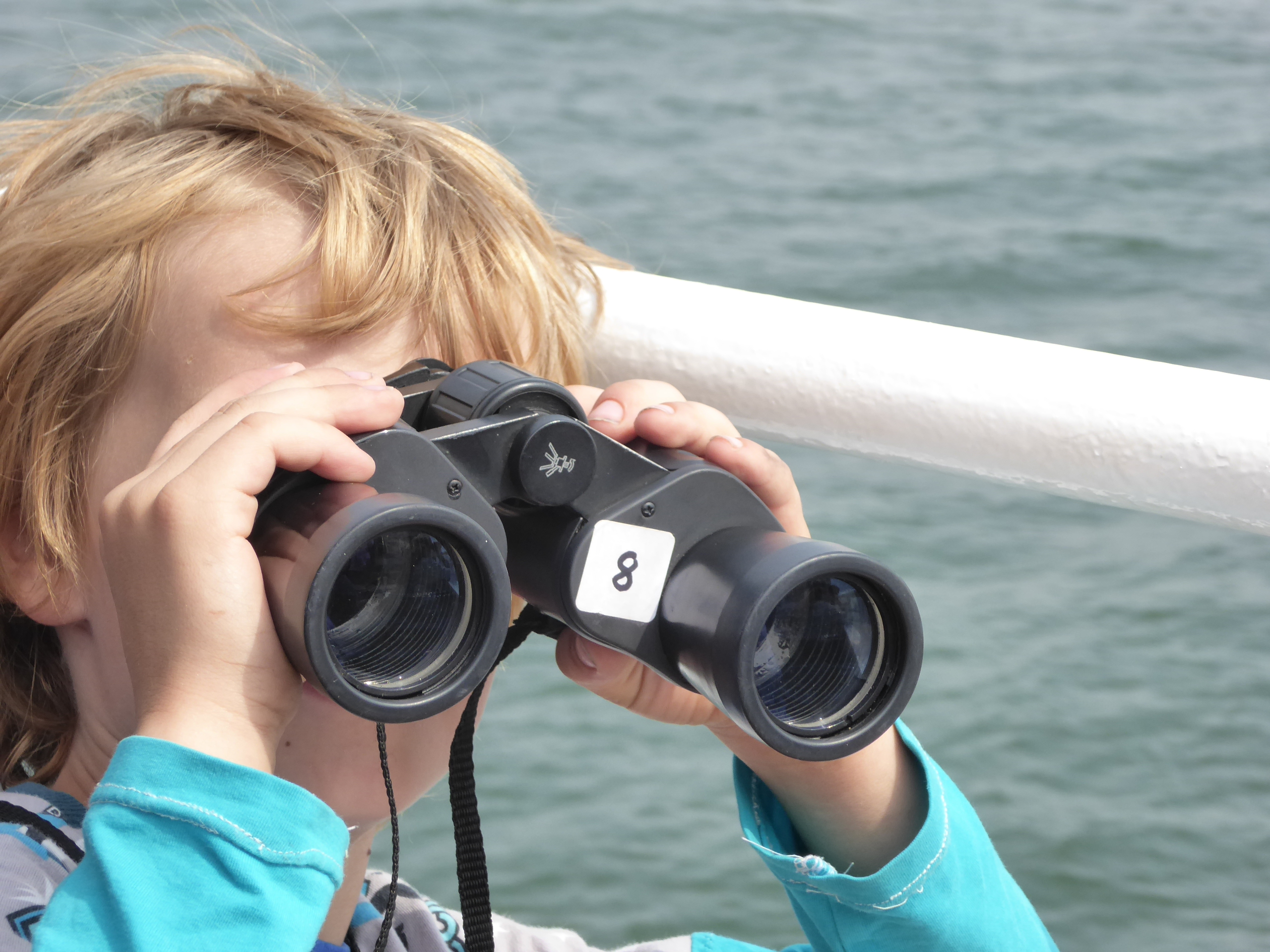 Fahrt zu den Seehundbänken | Nordsee mit Kindern | Familienurlaub Sylt