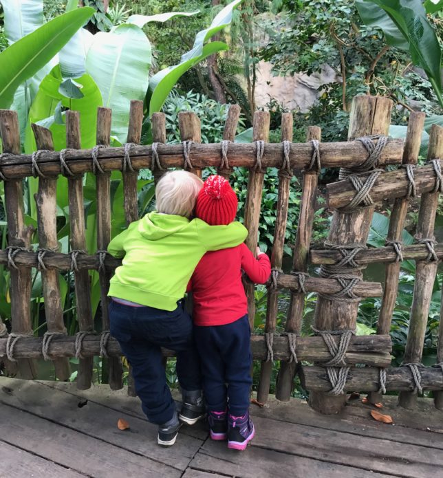 mit Kindern in Leipzig Zoo
